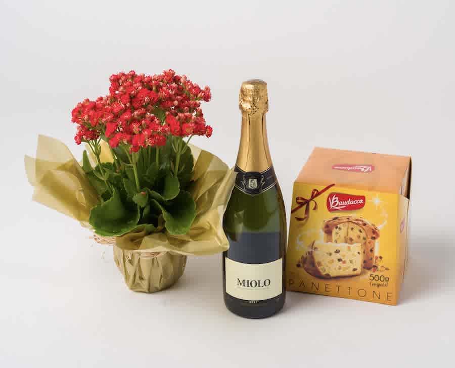 Flor da Fortuna, Espumante e Panettone